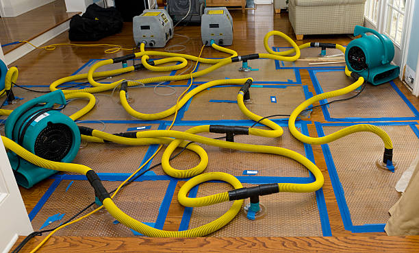 Professional Crawl Space Water Removal technician working in Albany, MO